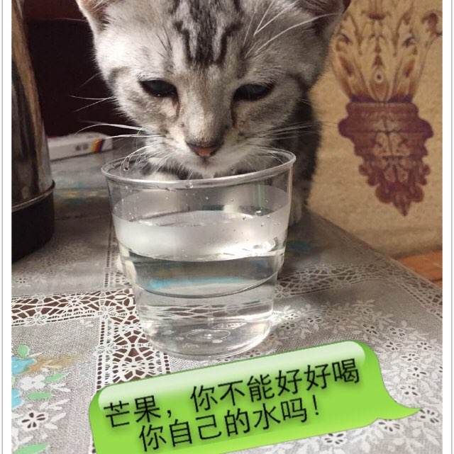 最新不动产权证解读